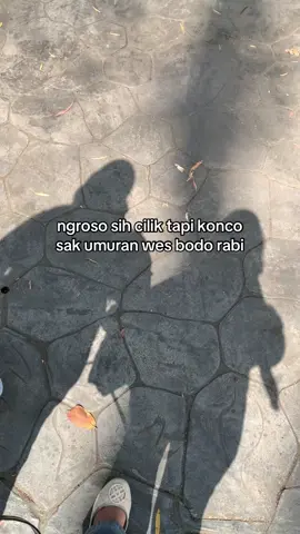 penting koe urung @𝙩𝙖. 