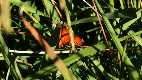 #nature #photography #argentina 