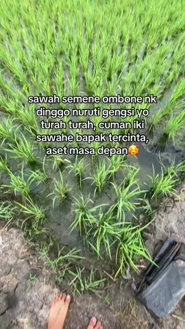 anake tani og😃#fyppppppppppppppppppppppp #petanimilenial 