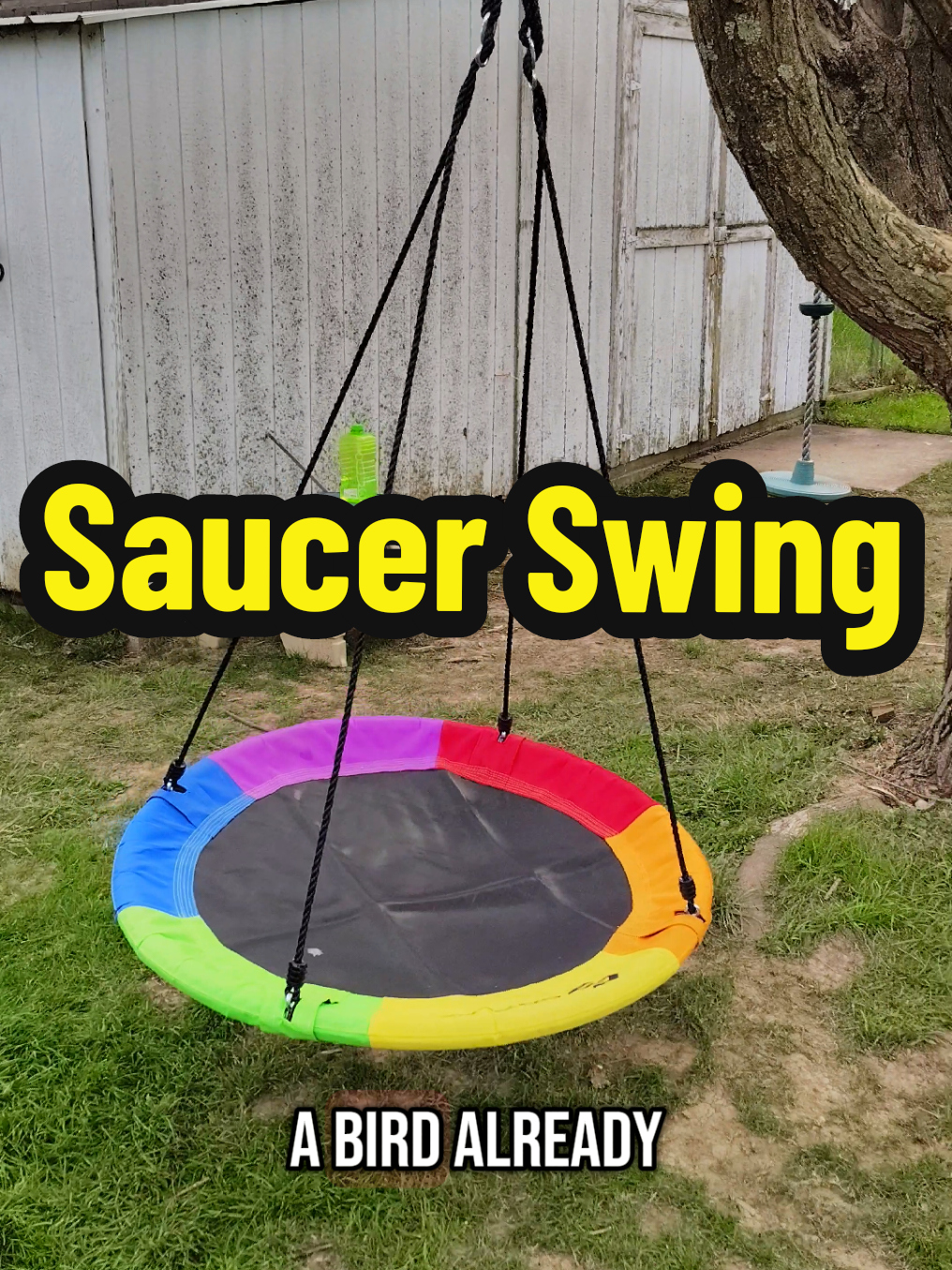Saucer Swing for the spring! #saucerswing #roundswing #outdoorswing #summertoys #treeswing #kidstoys #sensoryactivities #swing 