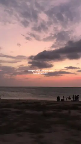 ps su solución soy yo🤎  #atardecer #playa #trendingvideo #contenido 