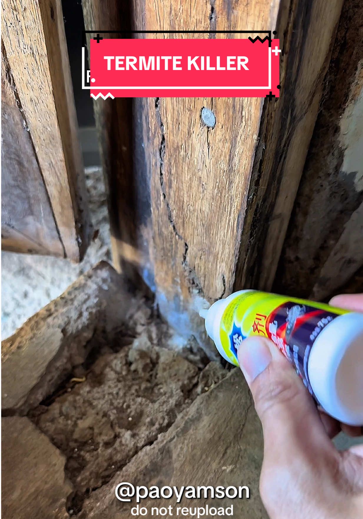 Puro anay sa bahay niyo? Agapan mo na yan gamit ang. TERMITE KILLER POWDER. #termitekiller #termite #termites #termitecontrol #anay #pestcontrol #fyp 