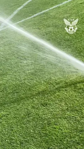 عدينا بريودات صعيبة 🤒🤕  عاش العميد بقلوب محبيه 🖤💚🖤💚❤️🫶  ultras gren army 💚🖤 ultras ikbal afif oscar 🤗🤗#TikTokLIVE 