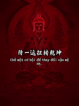 命里有时终须有 Trong số mệnh có lúc sẽ có. 命里无时莫强求 Trong số mệnh không có, đừng ép buộc.#国学 #国学文化 #国学智慧 #玄学