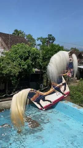 @mbah toto istimewa🔥 #jarankepangtemanggung #jaranantemanggungan #jarancraken #jaran klasik #temanggung24jam #xybcafyp #jawapride  info pemesanan jaran /pengecatan bisa dm saja 🙏