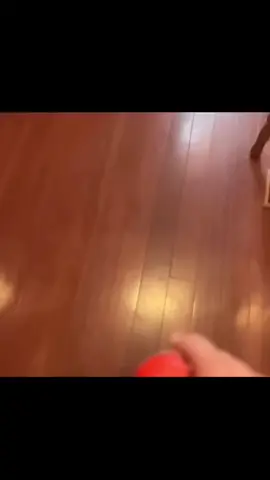 A trick shot of the century #fyp #viral #mee #go viral #go t trick shot 