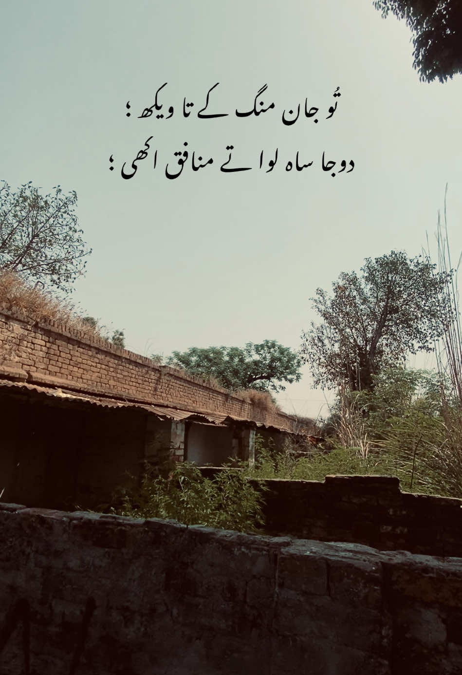 Hay dil Mara 🫀🥀 #poetry #punjabi #saraki #deeplines #lines #fypシ゚ #virał #grow 