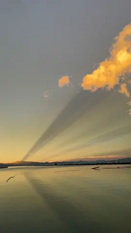 you'll be in my heart ❤️‍🔥#fyp #silalahi #danautoba 