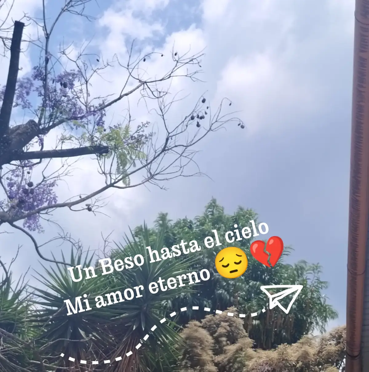 Mi Amor eterno te extraño cada día de mi vida #nostalgia #amor 