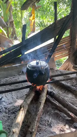 masak dikebun😊#fypシ゚viral #masukberanda #suasanadikampung #foryoupage 