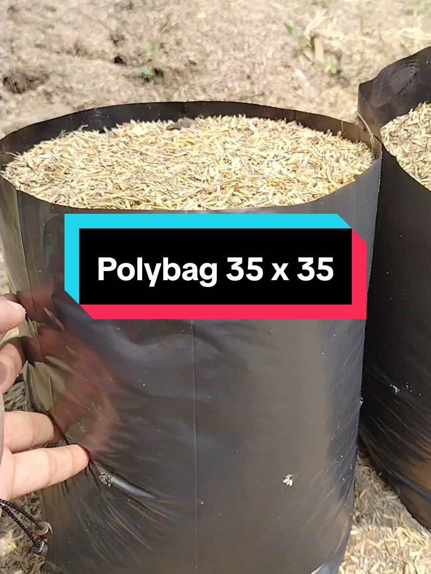 Ini polybag kualitas bagus bahan tebal dan elastis, ini dalam vidio ukuran 35 x 35 cm. #polybag #polybagtanaman #petanimuda 