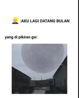 🗿#fyp #fouryou #masukberandafyp #randommemes #memestiktok 