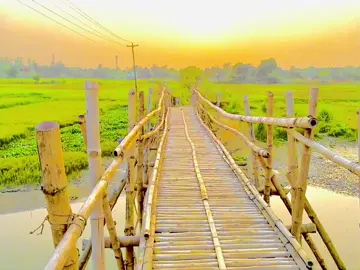 কল্পনার থেকে সুন্দর দৃশ্য কোথাও নেই যেখানে সবাই সুখী ❤️‍🩹😊 #foryou #foryoupage #fyp #vairal #vairal_video #fyp #vairal 