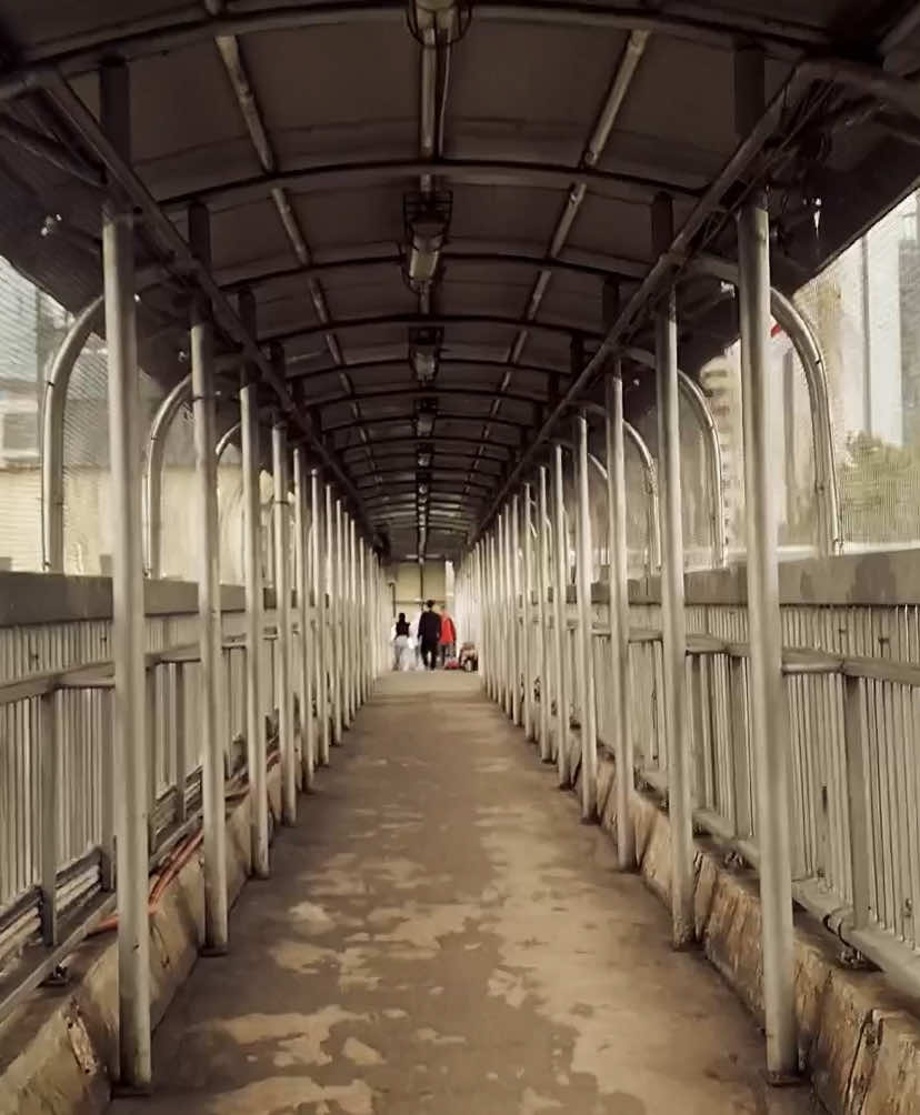 🍋😆⭐️ #miamor #sallycinamon 