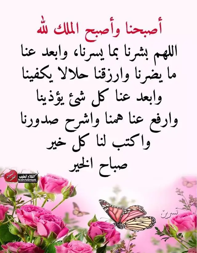 #دعاء_يريح_القلوب_ويطمئن_النفوس🇲🇦🇫🇷☮️🤲🙏 