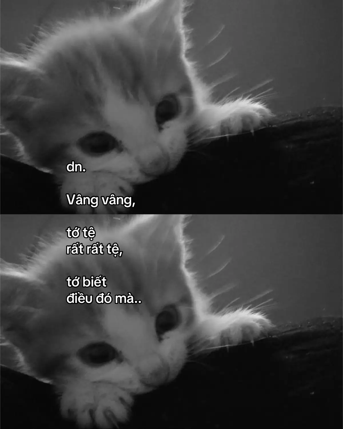 #fyp #tamtrang #viral #xhuong 