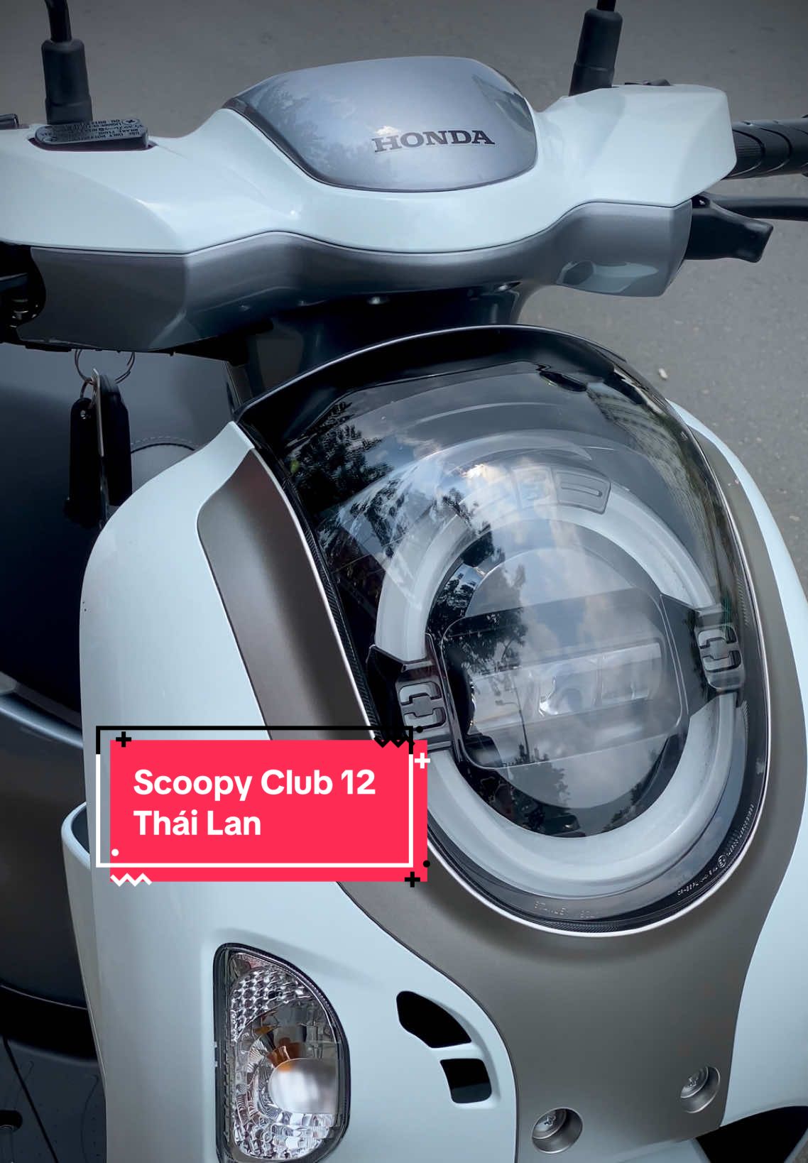Scoopy Club 12 Thái Lan ❤️ Đẹp xuất sắc #thanhvumotor #xemayngoctramtayninh #scoopy #scoopythailand #scoopyclub 