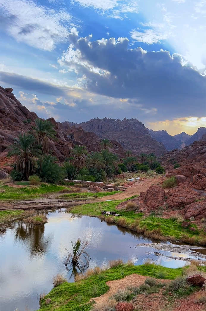 بالمكان اللي نسانيسه تعزف الوتر  تنجلي في شوفته كل ضيقة موجعة  #صباح_الخير #حائل #ربيع_2025 #الطبيعة #حائل_بعد_حيي #حائل #اكسبلور #explore #جبال_اجا #حايل #creatorsearchinsights #2025 #dayinmylife 