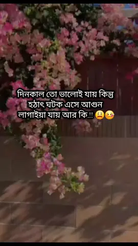 হঠাৎ  ঘটক এসে আগুন লাগাইয়া দিয়ে যাই আর কি.!!🥴🤒