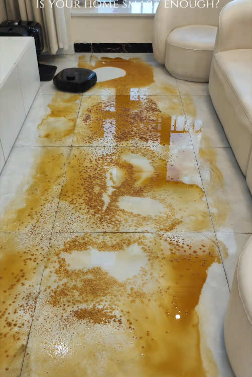 robotic vacuum, robo vacuum, robot vacuum  #robotcleaner #mopvaccum #robot #robotcleaner #robotvacuumcleaner #clean #room #usa_tiktok #tiktokviral #cleaningtiktok #homecleaning #pets #cats   #roboticvacuum #robovacuum #robotvacuum 