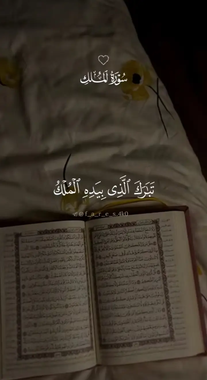 سورة الملك كامله ماهر العقيلي #قران_كريم #ماهرالمعيقلي #quran_alkarim #صدقه_جاريه 