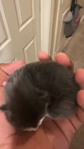 I’m out of breath from tryna protect my kid mb #OptimusPrimeKratosGhostofSpartaBaneofOlympusDestroyerofFateGodofWarFranklin #kratosgodofwar #godofwarragnarok #godofwar2018 