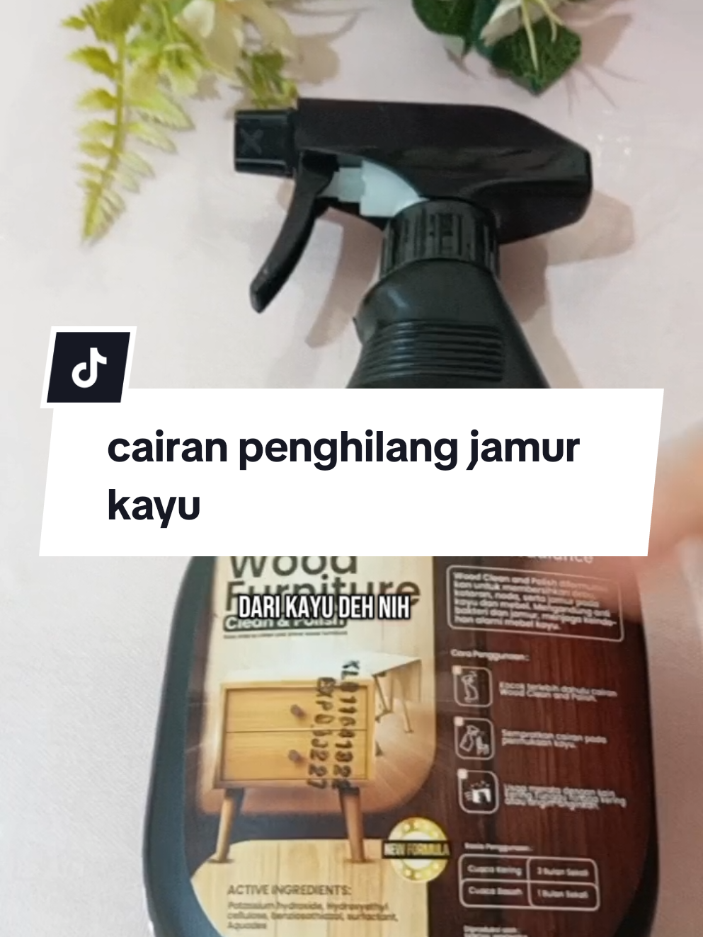 Membalas @hot_mama778 #seroxil #klinxy #woodfurniture #jamurkayu #fyp #cairanjamur #penghilangjamur #woodpolish #pengkilapkayu #penghilangjamurkayu #cairanpenghilangjamur #perawatanfurniture #tipsmenghilangkanjamur 