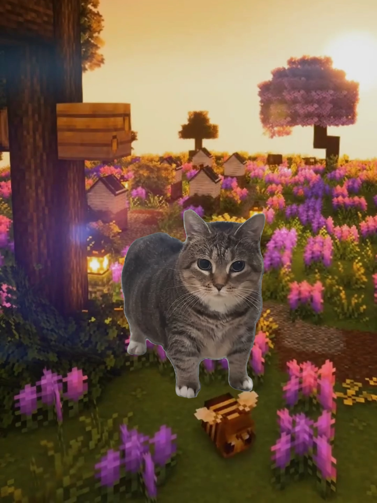 ลาวาอุอิ #minecraft #อุอิอา #cattherapper855#tiktokmusic #เพลงฮิตtiktok