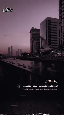 كلبــــــي طيب. 💔✋🏻 #عبارات #حزينه #تصاميم  #ستوريات_حزين #fyp #عبارات_حزينه💔 #خواطر #الشعر_الشعبي #ستوريات_انستا #عبارات_جميلة_وقويه😉🖤 