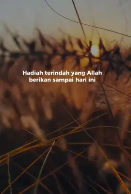 #bismillahfyp #findeaño #storytime #euforia2025 #motivasihidup #selfreminder #reminderislamic 