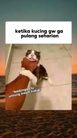 #meme#humor 