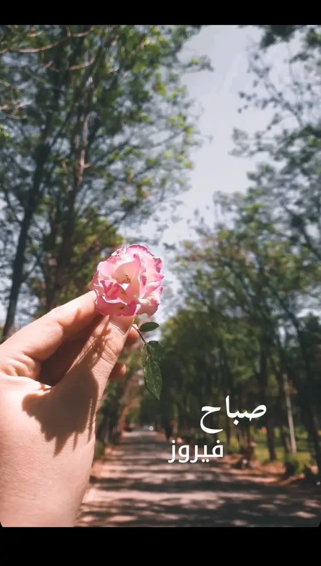 #photography #foryou #فيروز #صباح_الخير #fpy ☀️🌿#قالولي_البلابل_صبحية #اكسبلور_تيك_توك #tiktok 