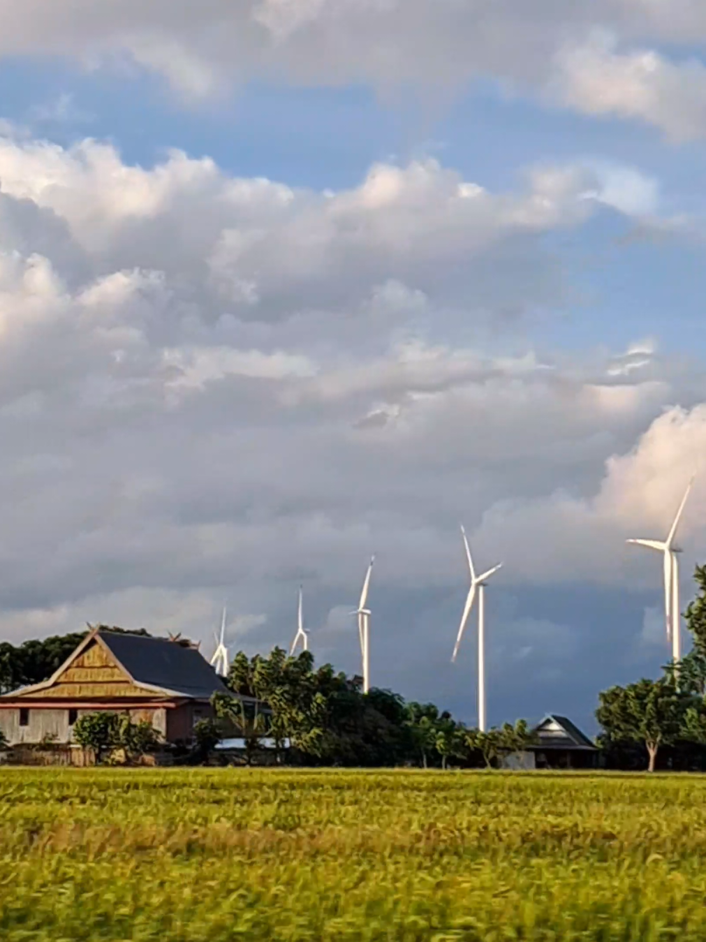 kincir angin jeneponto 🌬🌀 #kincirangin  #kinciranginjeneponto #fyyyyppppppp #berandatiktok #beranda #fyppppppppppppppppppppppp 