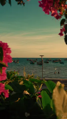 Đến một lúc nào đó hoặc có thể là ngay giây phút này, đại đa số chúng ta sẽ phát hiện ra những người quan trọng trong cuộc sống của mình đều đã bắt đầu đi trên con đường riêng của họ. Có người bỗng kết hôn, có người học lên tiến sĩ, có người vào ngân hàng, bắt đầu than thở về cuộc sống chốn công sở trên mạng, trong khi có người vẫn mải miết đi du lịch. Người học kế toán cuối cùng lại đi kinh doanh, người học quản lý cuối cùng lại vào ngân hàng, người nói không kết hôn cuối cùng lại tổ chức đám cưới sớm nhất. #sony #sonyalpha #travel #cinematic #phanthiet #bien