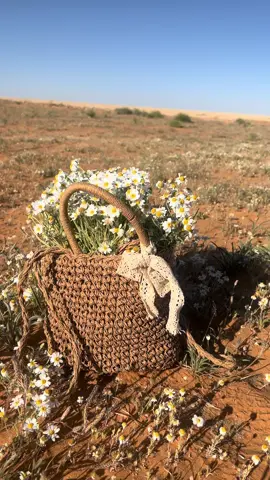 بهالمكان تخيلت اني البنت الصغيرة اللي بدعاية جبنة بوك 🌼🌼                                             #الشعب_الصيني_ماله_حل😂😂😂 #سكاكا #ترند #السعودية #your_coffee 