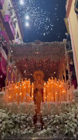 PETALA A LA VIRGEN DE LA ESPERANZA DE TRIANA. #Semanasanta #semanasanta2025 #triana #Sevilla #Andalucia #trescaidasdetriana #Capillalosmarineros #Capillita #tiktoker #viralditiktok 