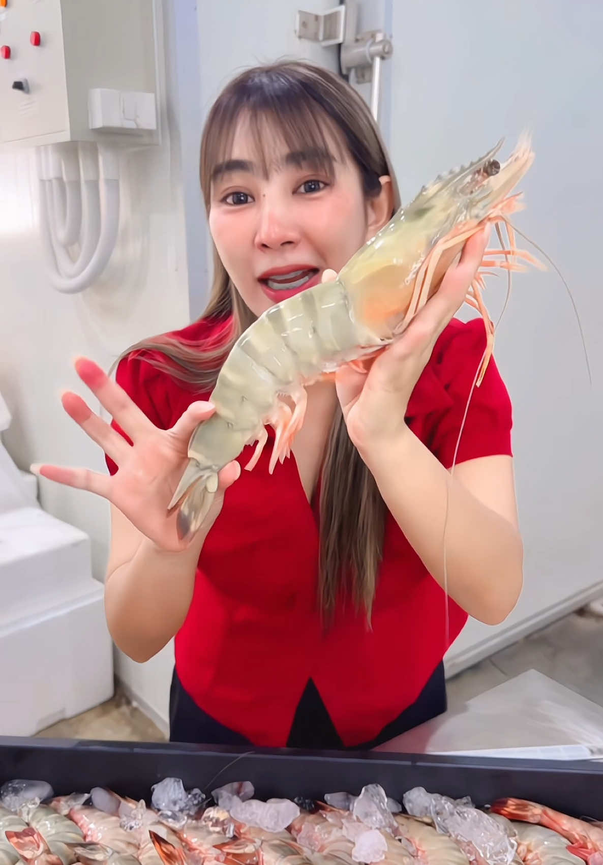 อยากกินกุ้งทะเล เริ่มที่กุ้งอะไรดี เอิงแนะนำกุ้งลายเสือเลยค่ะ ไม่มีที่ติ เนื้อแน่น เด้ง และสามารถทำได้หลายเมนูด้วย #กุ้งทะเล #กุ้งลายเสือ #ซีฟู้ด #อาหารทะเล #ภูเก็ต #ขึ้นฟีดเถอะ 