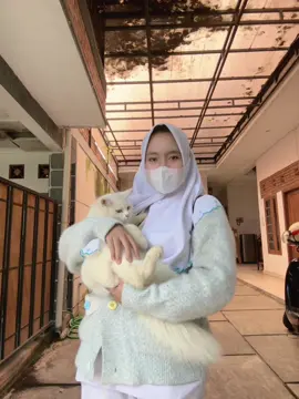 😾: apa dah mak gue ga jelas