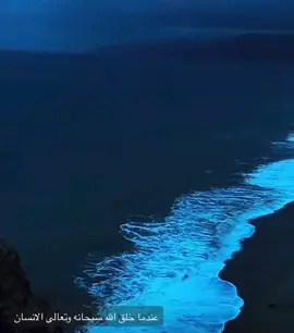 #سماحة_العشق #🕊️🦋 