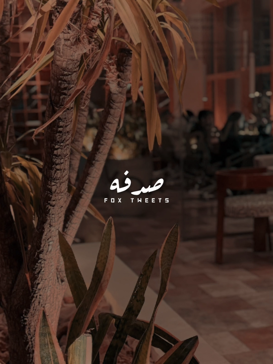 صدفة ومن بين كل الناس علقني 🖇️🤎 #fyp #foryoupage #دندنه #ترند  #صدفة_ومن_بين_كل_الناس_علقني #يارا #💗💗💗💗 