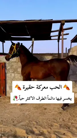 #عبارات #🥀🖤 #💔 #fypシ゚ #explore 