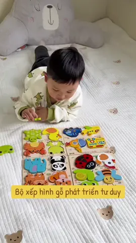 Bộ xếp hình gỗ giúp bé phát tiene tư duy não bộ #xuhuongtiktok #dochoichobe #dochoithongminh 