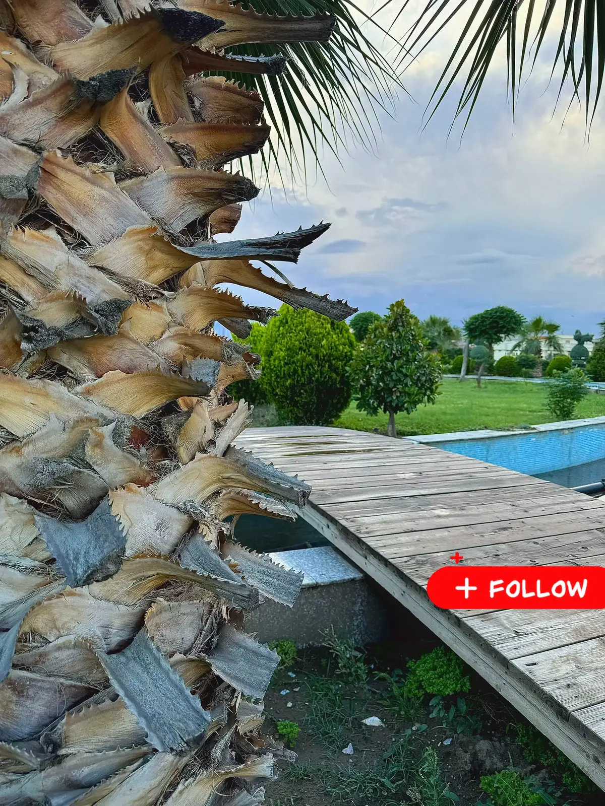 #لايك__explore___ #بارك_سامي_عبدالرحمن  #الشعب_الصيني_ماله_حل😂😂 