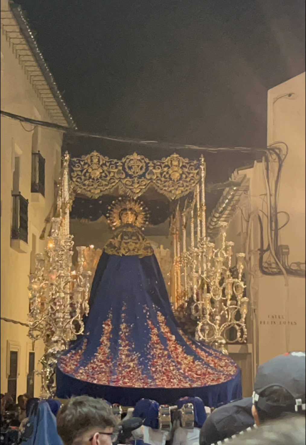 Lluvia de Pétalos para la Virgen de los Desamparados 🌸💐🌺🌹🌷  #semanasanta2025 #velezmalaga #semanasantavelezmalaga 