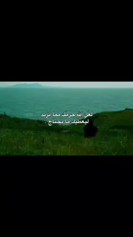 قناة التلي موجوده بالبايو . #أنجيل 