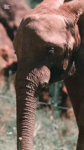 # risedaily #motivationalquotes#creatorsearchinsight #motivational #types of men and women who can never cheat 