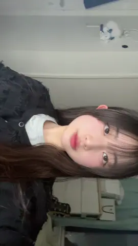 はじめてアイライナーとマスカラ茶色にした❕#09 #fjk #高校生 #fyp #girl 