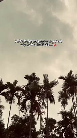 বেশি ভালোবাসলে মানুষ তুচ্ছ মনে করে তার প্রমাণ আমি নিজেই...?❤️‍🩹#fyppppppppppppppppppppppp #vairalvideo #vairal #@For You #@For You House ⍟ 