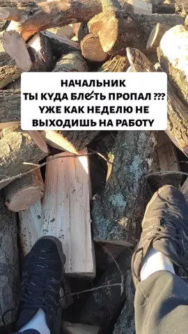 #жизаиточка #хорошегонастроения #😂😂😂 #работа #пасха #начальник #отмечай #отправь #валерчик 