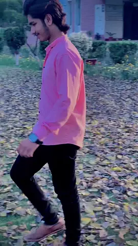 #creatorsearchinsights #sot lan ga yar nu pali batha a weham#foryou #unfreezemyacount #foryoupage #riskymian005 #10kviews #fypシ゚ #stand with phlastine